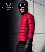 ��˾�Ƿ���2016��